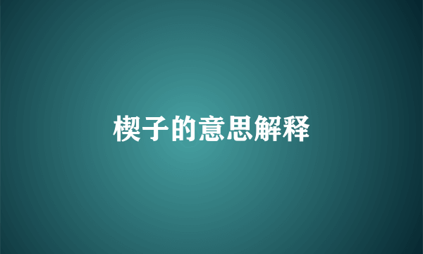楔子的意思解释