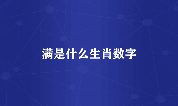 满是什么生肖数字