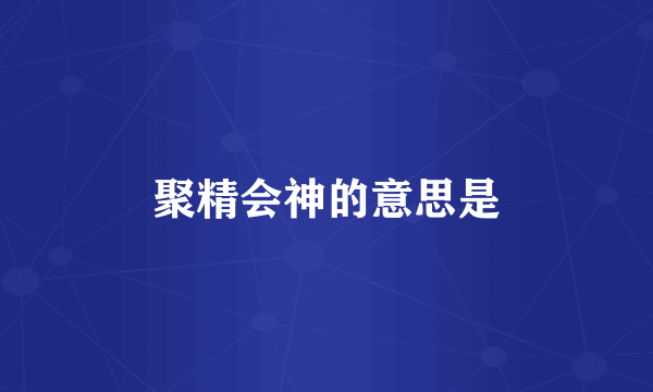 聚精会神的意思是