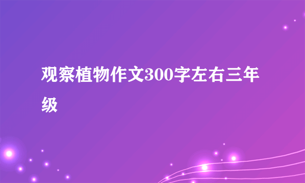 观察植物作文300字左右三年级