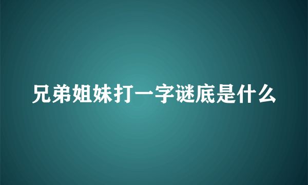 兄弟姐妹打一字谜底是什么