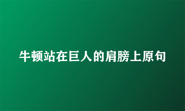 牛顿站在巨人的肩膀上原句