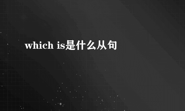 which is是什么从句