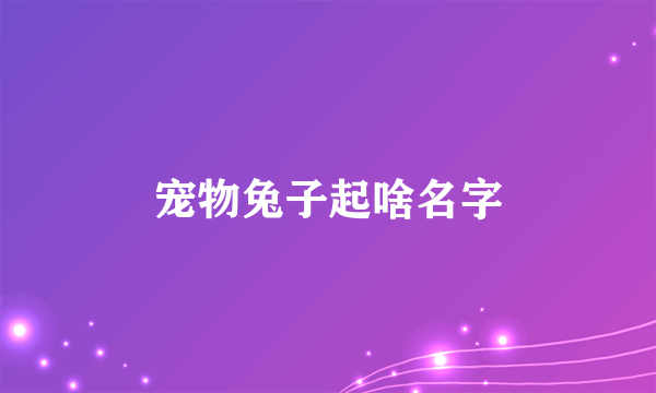宠物兔子起啥名字