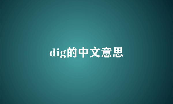 dig的中文意思