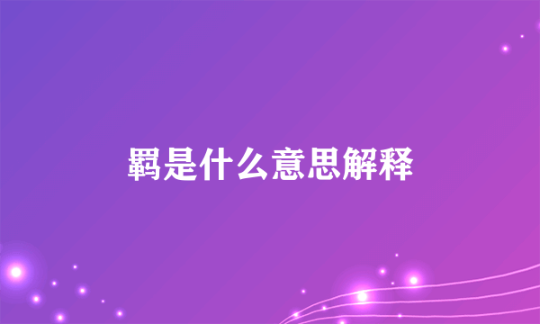 羁是什么意思解释