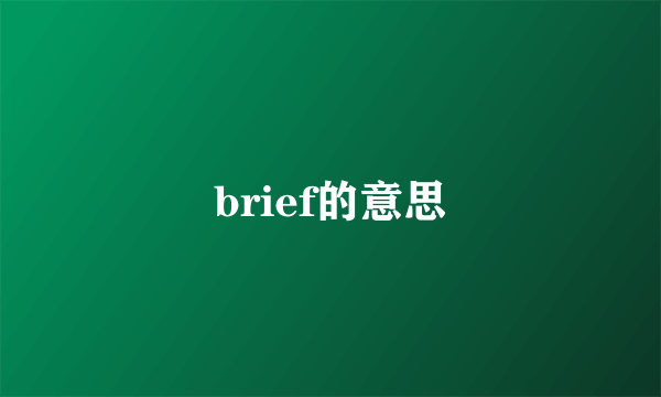 brief的意思