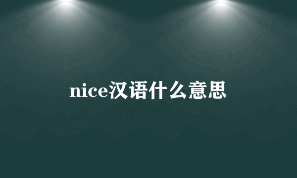 nice汉语什么意思