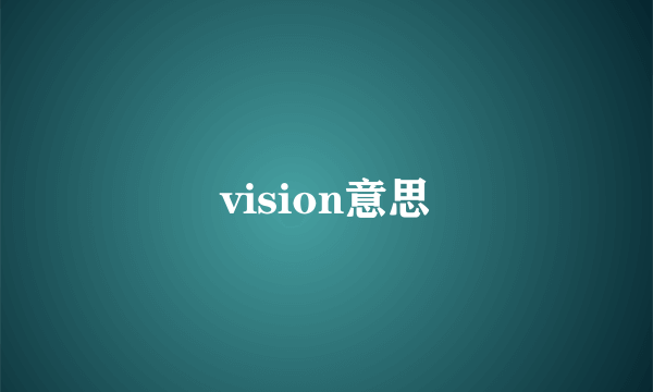 vision意思