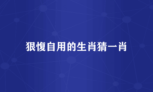 狠愎自用的生肖猜一肖
