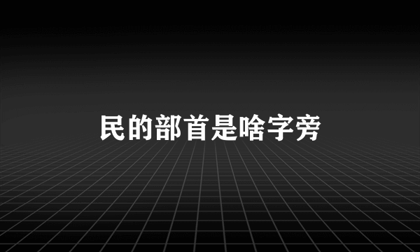 民的部首是啥字旁