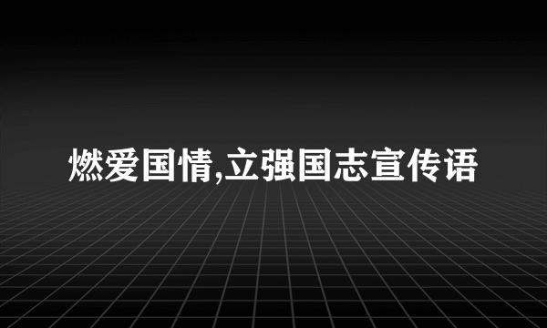 燃爱国情,立强国志宣传语