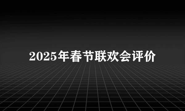 2025年春节联欢会评价