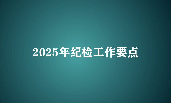 2025年纪检工作要点