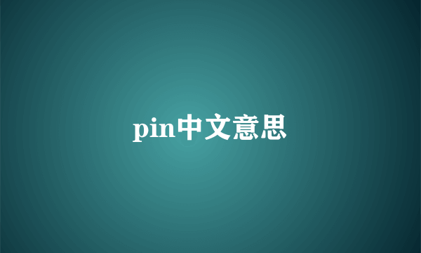 pin中文意思