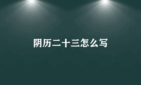 阴历二十三怎么写