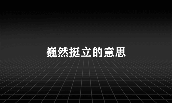 巍然挺立的意思