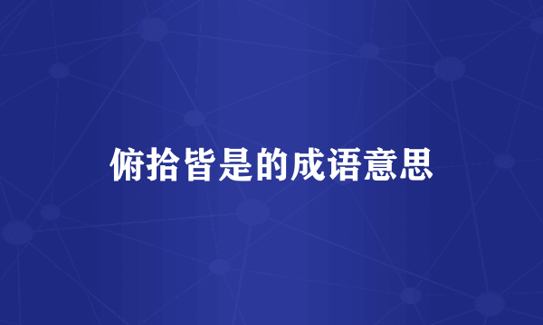 俯拾皆是的成语意思