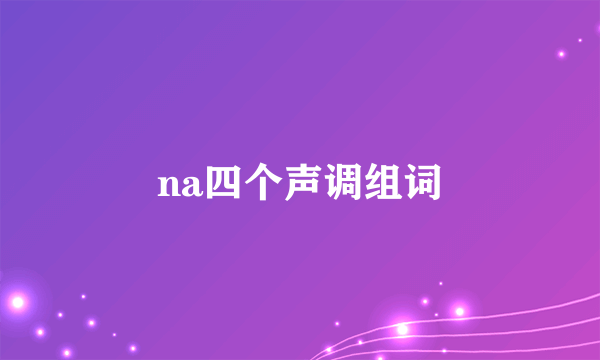 na四个声调组词