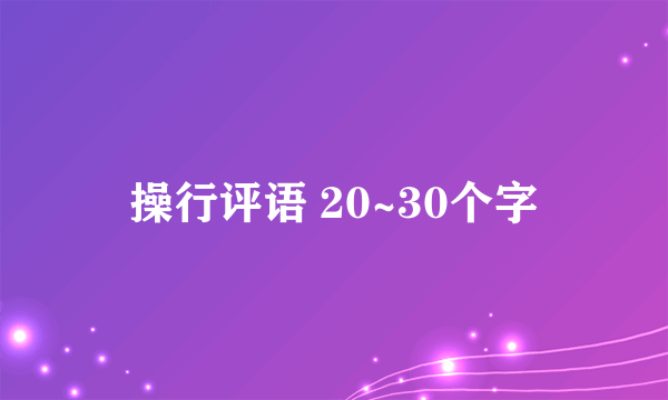 操行评语 20~30个字