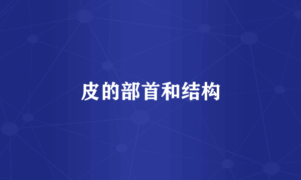 皮的部首和结构