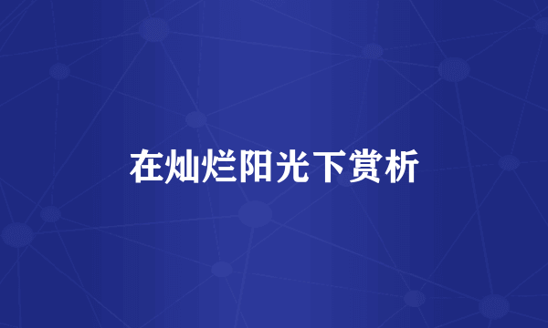 在灿烂阳光下赏析