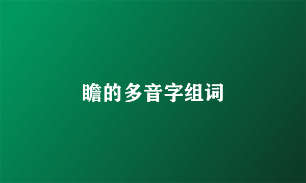 瞻的多音字组词
