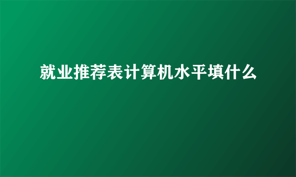 就业推荐表计算机水平填什么