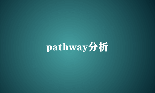 pathway分析