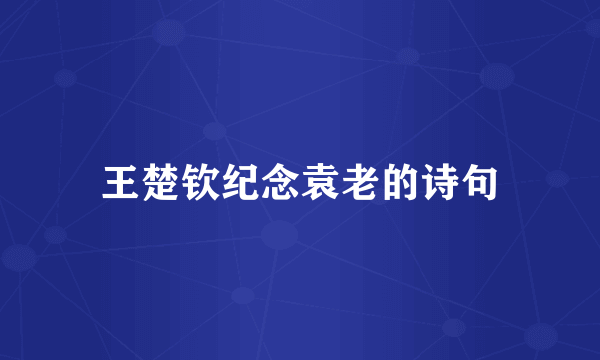 王楚钦纪念袁老的诗句