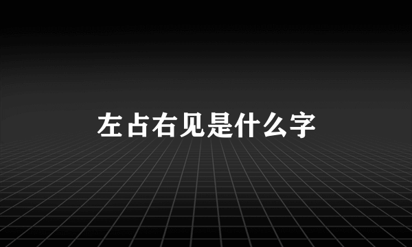 左占右见是什么字
