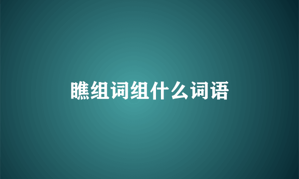 瞧组词组什么词语