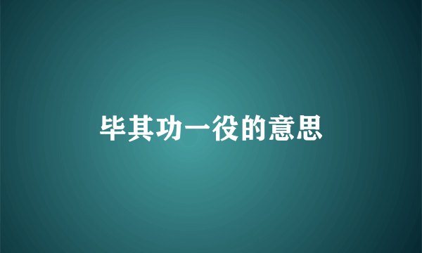 毕其功一役的意思