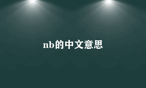 nb的中文意思