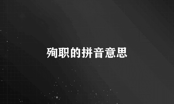 殉职的拼音意思