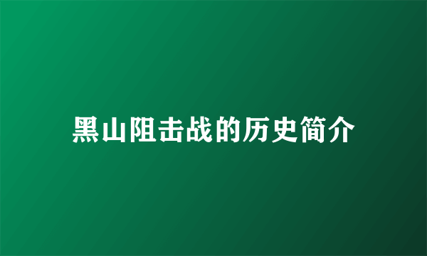 黑山阻击战的历史简介