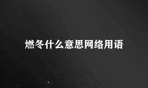 燃冬什么意思网络用语