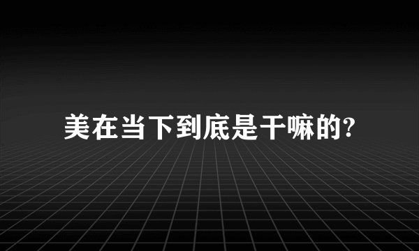 美在当下到底是干嘛的?
