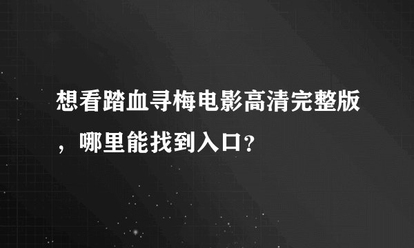 想看踏血寻梅电影高清完整版，哪里能找到入口？