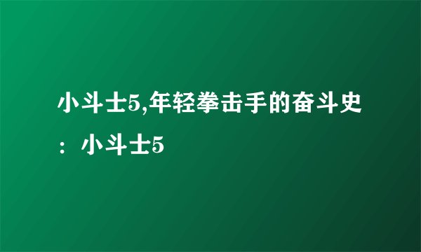 小斗士5,年轻拳击手的奋斗史：小斗士5