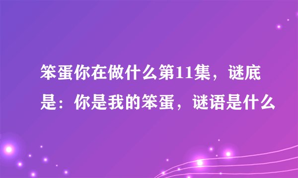 笨蛋你在做什么第11集，谜底是：你是我的笨蛋，谜语是什么