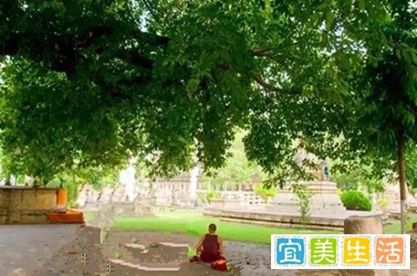 新公学:存善去恶