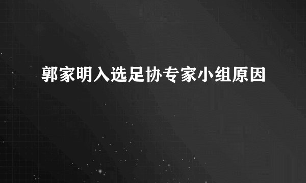 郭家明入选足协专家小组原因
