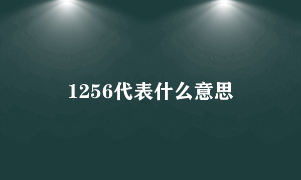 1256代表什么意思