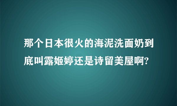 那个日本很火的海泥洗面奶到底叫露姬婷还是诗留美屋啊?