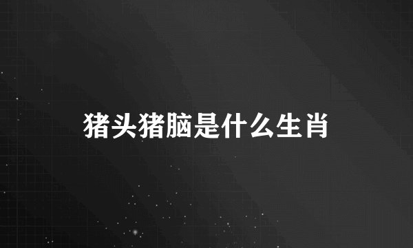 猪头猪脑是什么生肖
