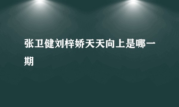 张卫健刘梓娇天天向上是哪一期