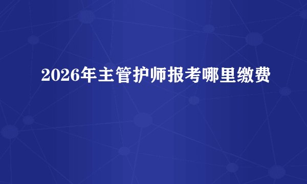 2026年主管护师报考哪里缴费