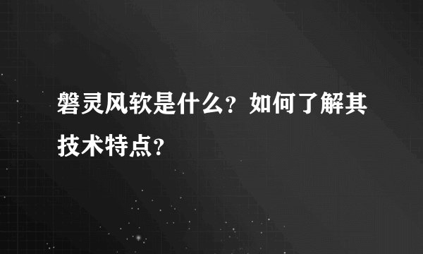 磐灵风软是什么？如何了解其技术特点？