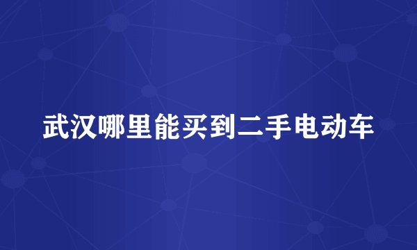 武汉哪里能买到二手电动车